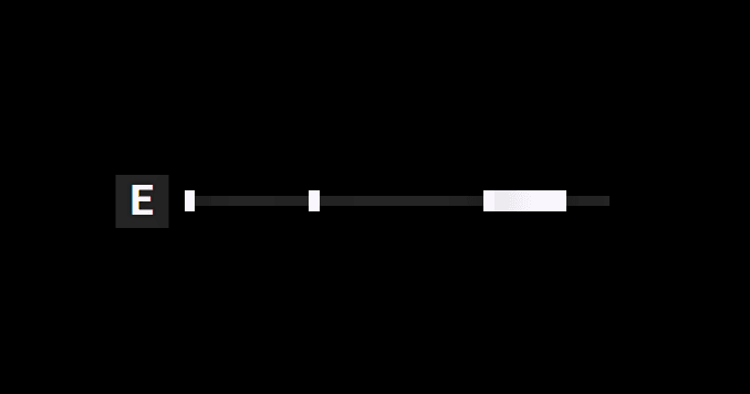 Rapid Lines